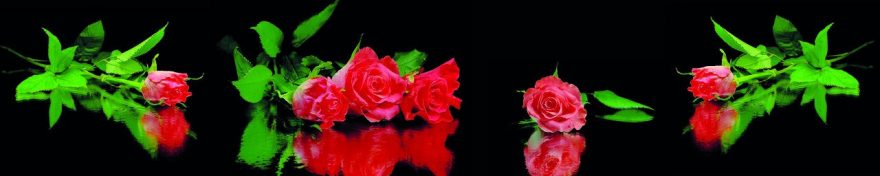 Изображение для стеклянного кухонного фартука, скинали: цветы, розы, fartux1068