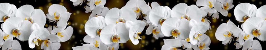 Изображение для стеклянного кухонного фартука, скинали: цветы, орхидеи, fartux1139