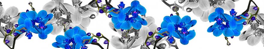 Изображение для стеклянного кухонного фартука, скинали: цветы, орхидеи, fartux1331
