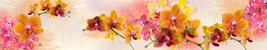 Изображение для стеклянного кухонного фартука, скинали: цветы, орхидеи, fartux1493