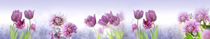 Изображение для стеклянного кухонного фартука, скинали: цветы, тюльпаны, fartux1495