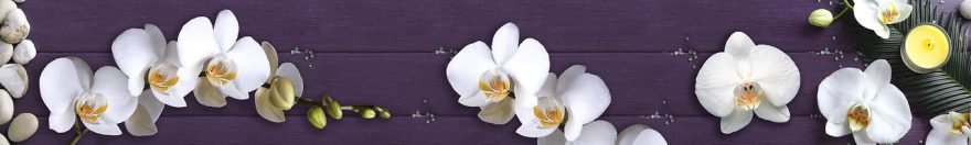 Изображение для стеклянного кухонного фартука, скинали: цветы, орхидеи, fartux562