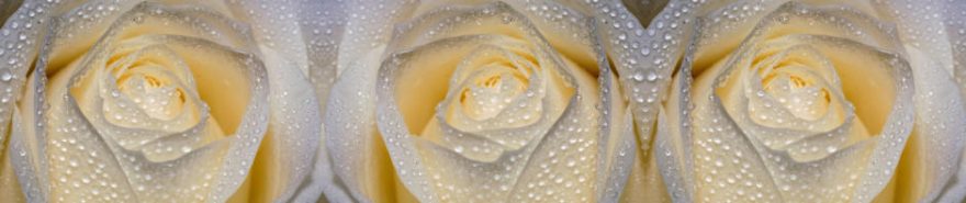 Изображение для стеклянного кухонного фартука, скинали: цветы, розы, fartux618