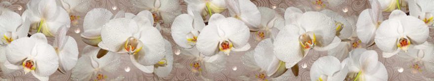 Изображение для стеклянного кухонного фартука, скинали: цветы, орхидеи, fartux754