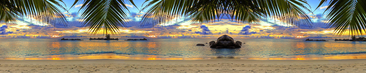 Изображение для стеклянного кухонного фартука, скинали: закат, море, пальмы, пляж, fartux989