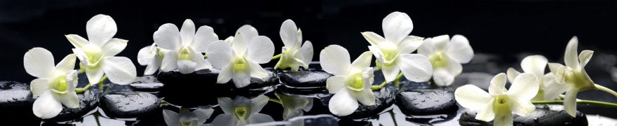 Изображение для стеклянного кухонного фартука, скинали: цветы, орхидеи, камни, rastcve032