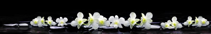 Изображение для стеклянного кухонного фартука, скинали: цветы, орхидеи, камни, skin121