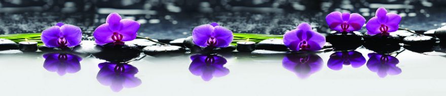 Изображение для стеклянного кухонного фартука, скинали: цветы, орхидеи, камни, skin229