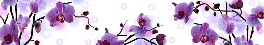 Изображение для стеклянного кухонного фартука, скинали: цветы, орхидеи, skin236