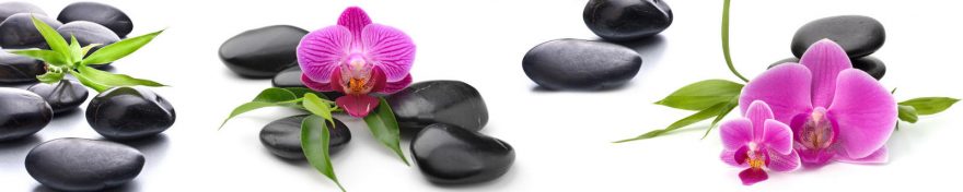 Изображение для стеклянного кухонного фартука, скинали: цветы, орхидеи, камни, skin304