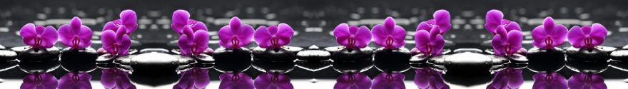 Изображение для стеклянного кухонного фартука, скинали: цветы, орхидеи, камни, skinap70